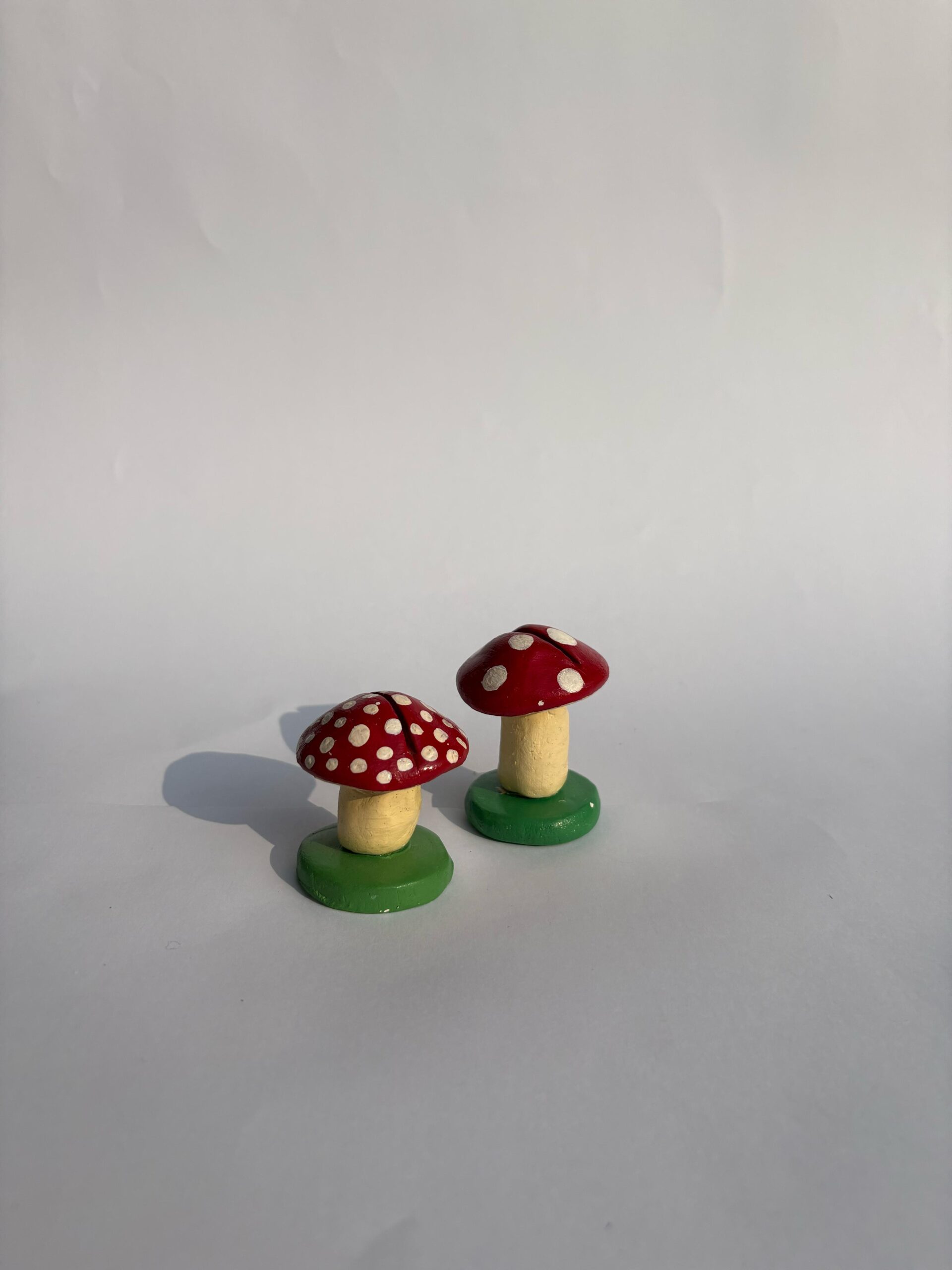 448134367_2968048529998703_2043879188903892331_n