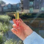 WhatsApp Image 2025-01-04 at 21.28.52_e33ac3a9